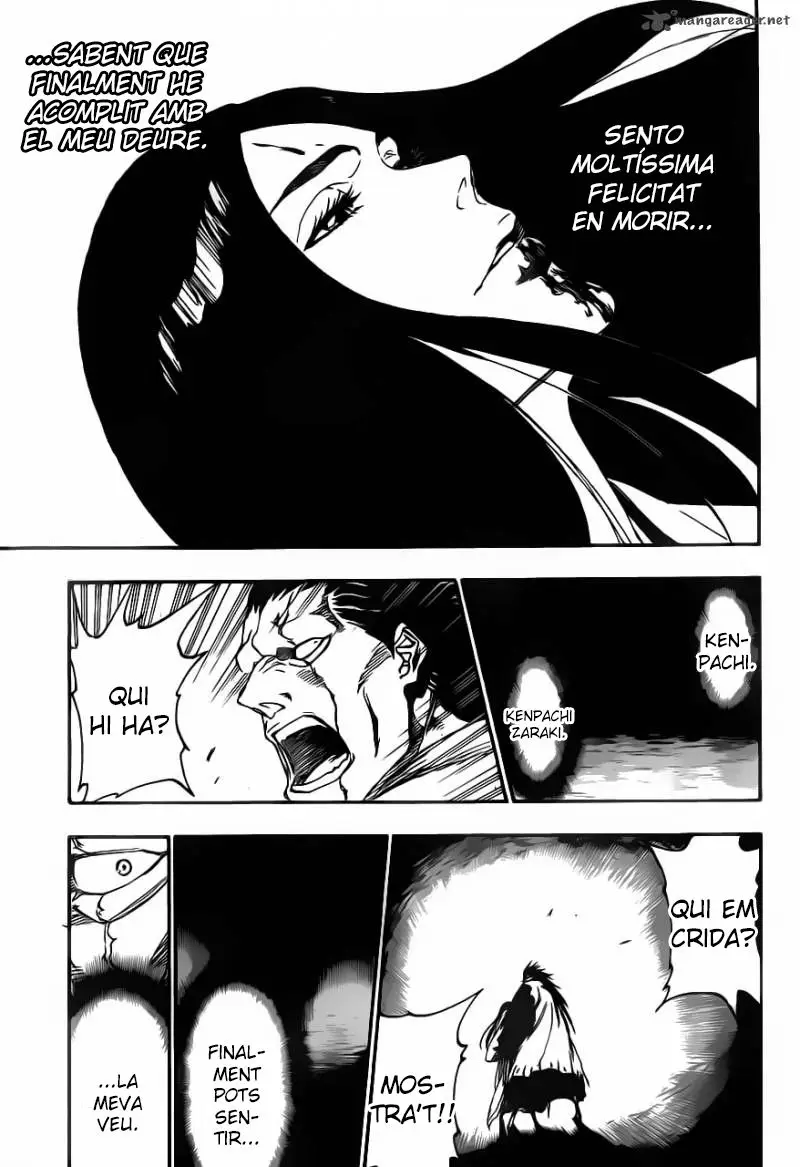 Bleach (Català) (2001) - Capítulo 527 - Página 9 - LectorTMOo