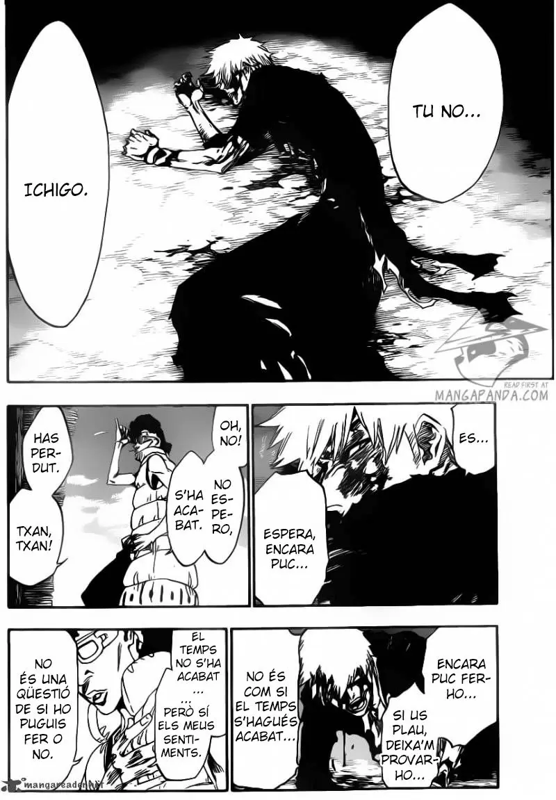 Bleach (Català) (2001) - Capítulo 527 - Página 14 - LectorTMOo
