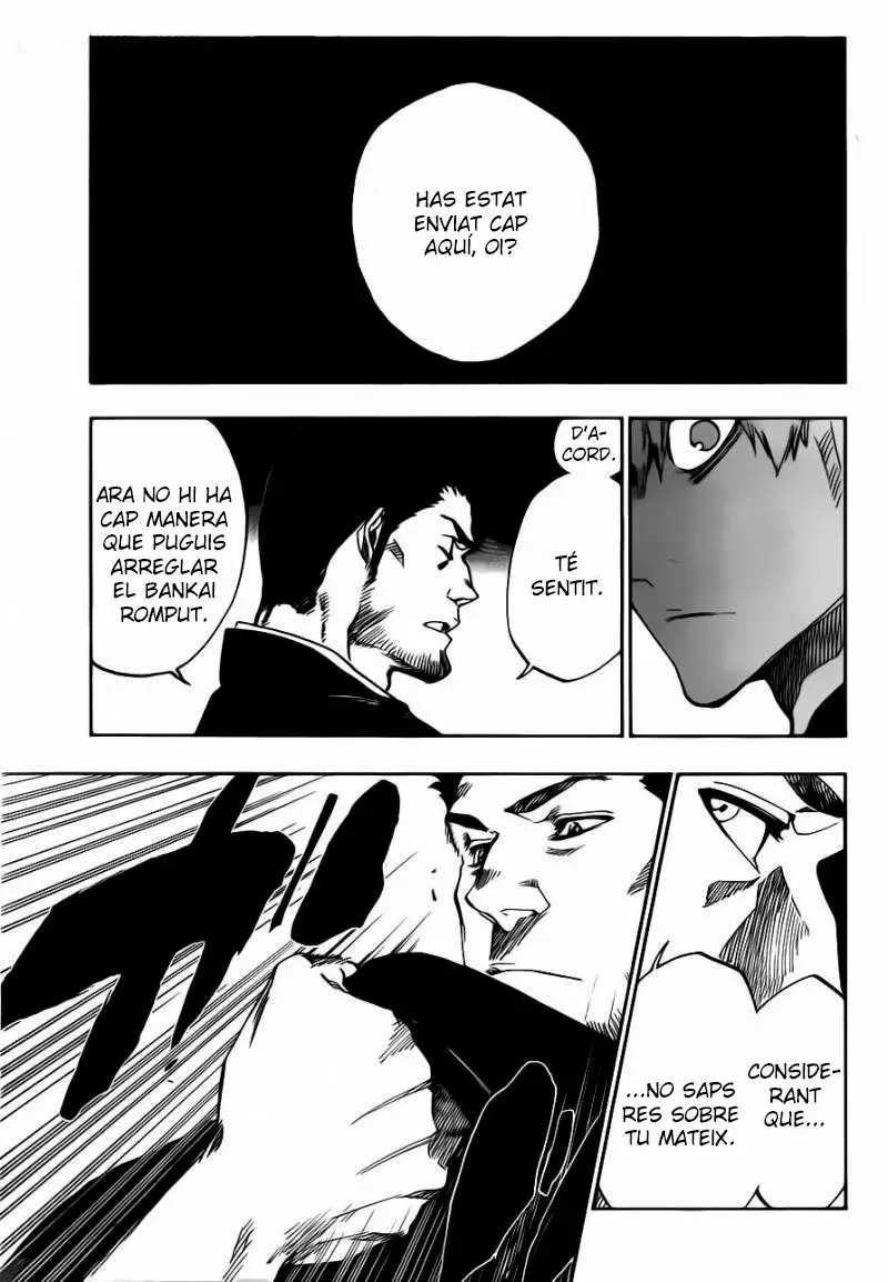 Bleach (Català) (2001) - Capítulo 528 - Página 14 - LectorTMOo