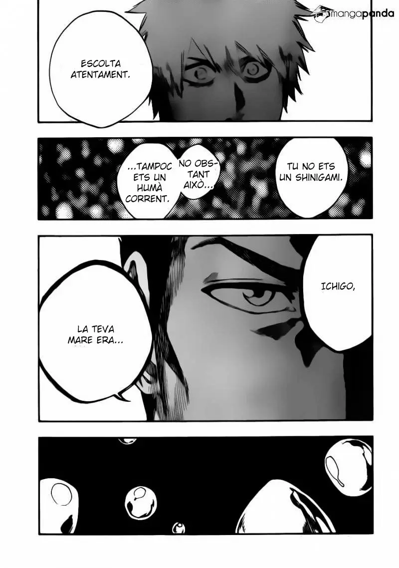 Bleach (Català) (2001) - Capítulo 528 - Página 16 - LectorTMOo