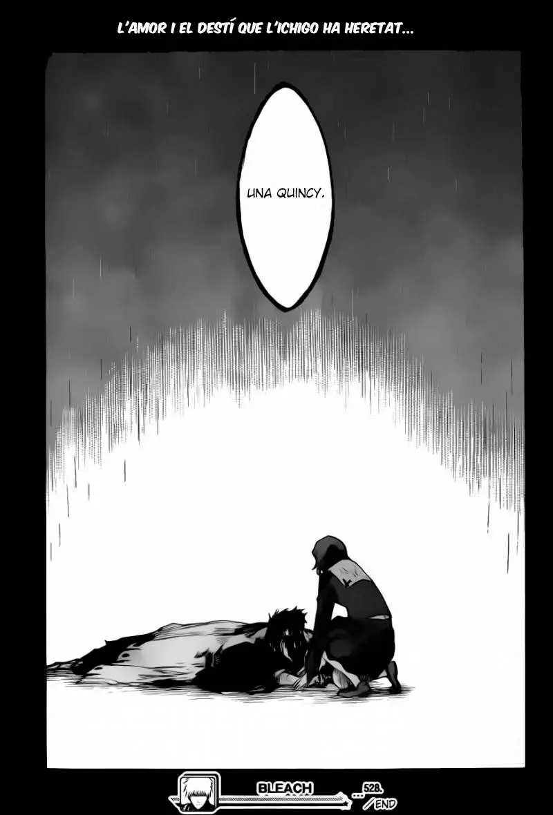 Bleach (Català) (2001) - Capítulo 528 - Página 18 - LectorTMOo