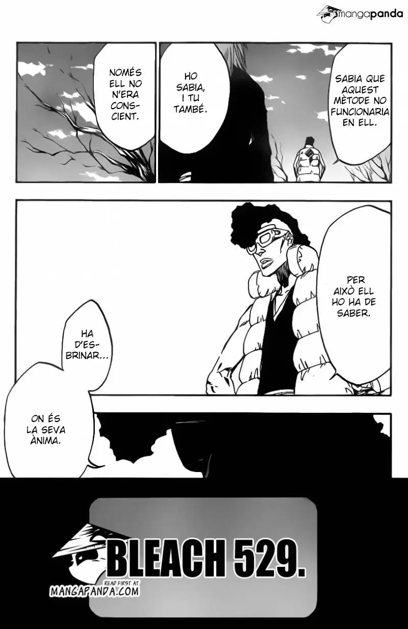 Bleach (Català) (2001) - Capítulo 529 - Página 5 - LectorTMOo