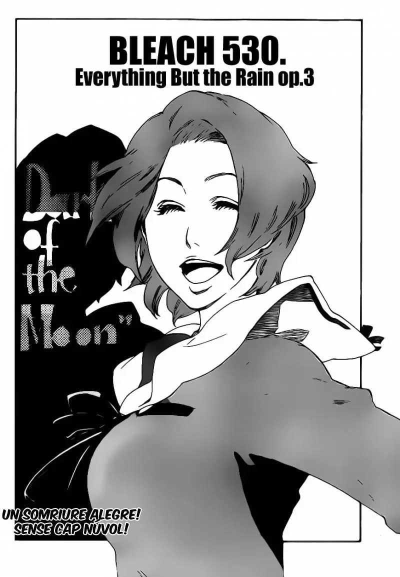 Bleach (Català) (2001) - Capítulo 530 - Página 5 - LectorTMOo
