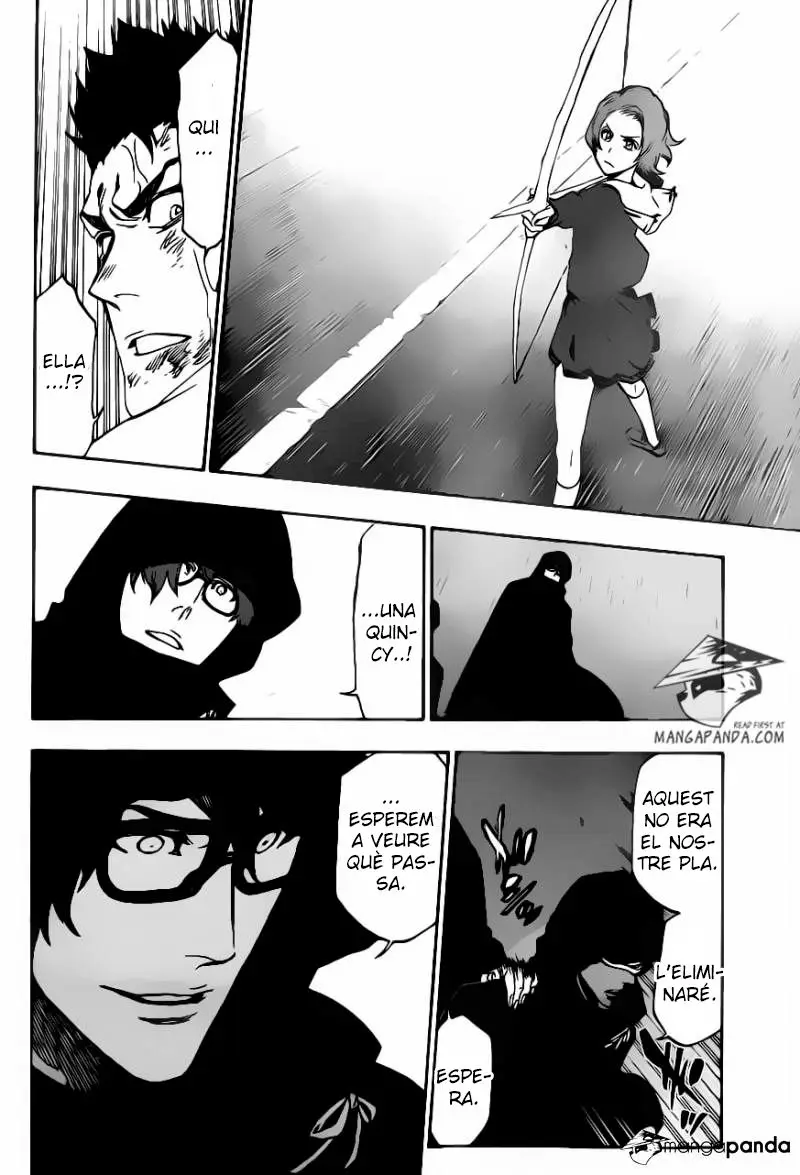 Bleach (Català) (2001) - Capítulo 532 - Página 15 - LectorTMOo