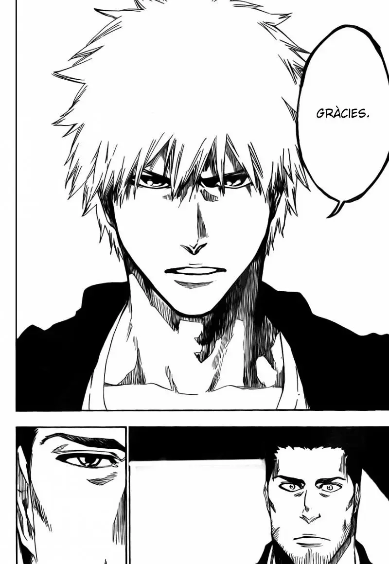 Bleach (Català) (2001) - Capítulo 537 - Página 13 - LectorTMOo