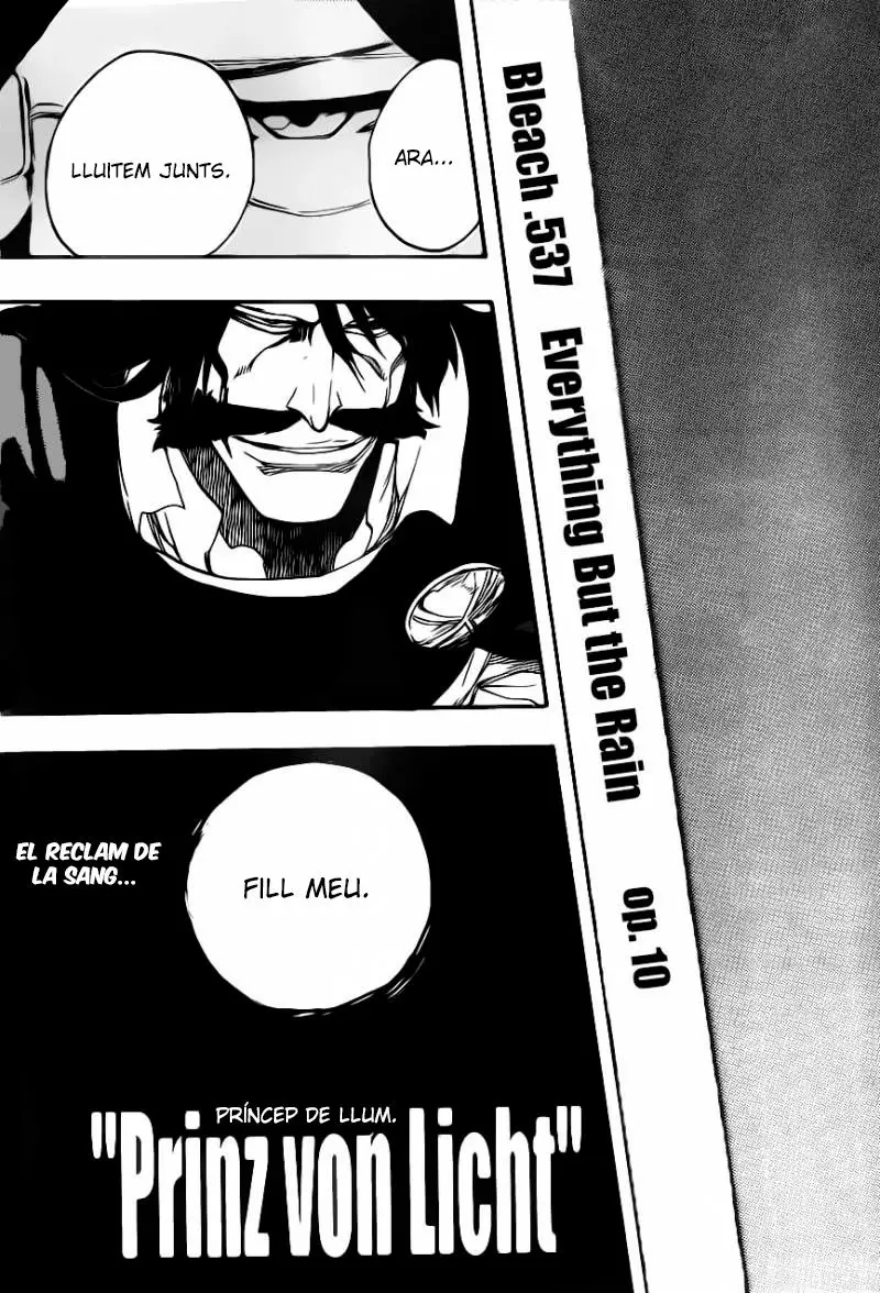 Bleach (Català) (2001) - Capítulo 537 - Página 18 - LectorTMOo