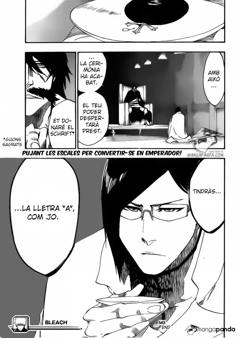 Bleach (Català) (2001) - Capítulo 543 - Página 17 - LectorTMOo