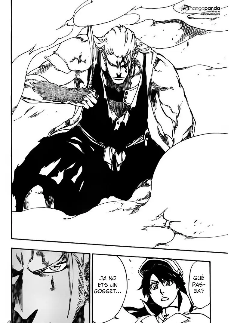 Bleach (Català) (2001) - Capítulo 556 - Página 13 - LectorTMOo