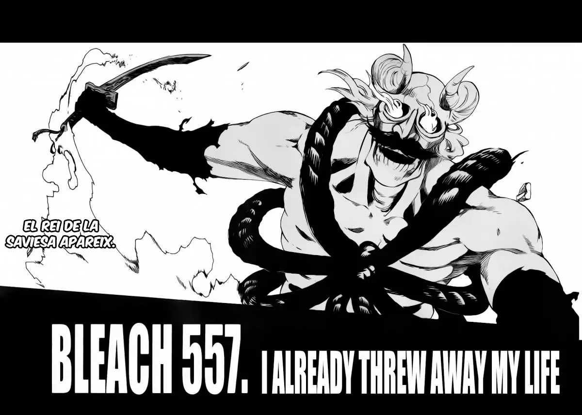 Bleach (Català) (2001) - Capítulo 557 - Página 3 - LectorTMOo