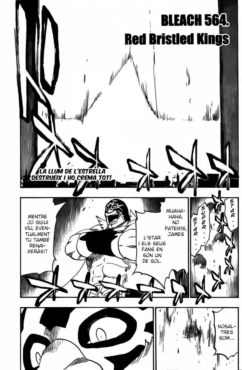Bleach (Català) (2001) - Capítulo 564 - Página 5 - LectorTMOo