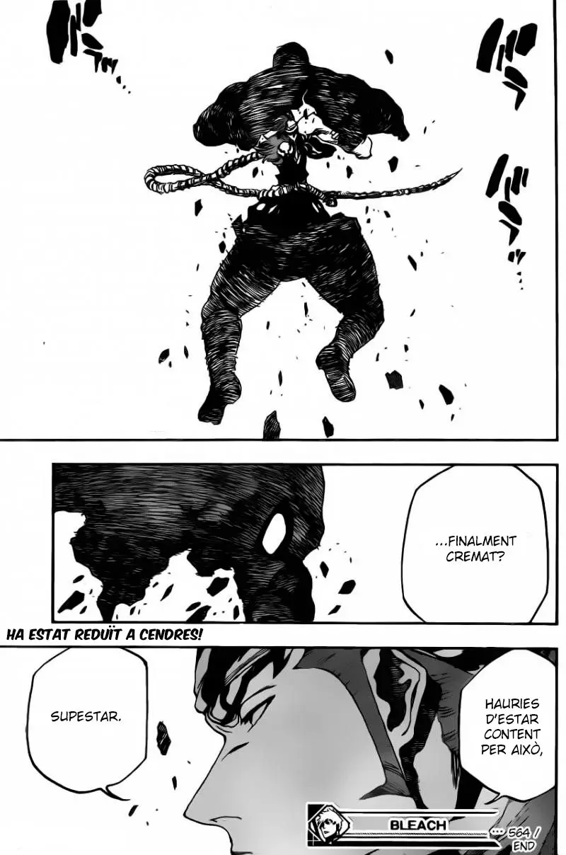 Bleach (Català) (2001) - Capítulo 564 - Página 29 - LectorTMOo