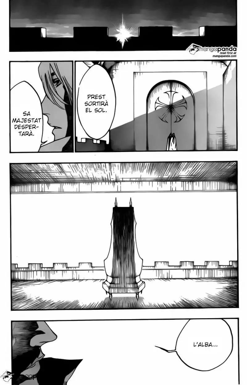 Bleach (Català) (2001) - Capítulo 565 - Página 29 - LectorTMOo