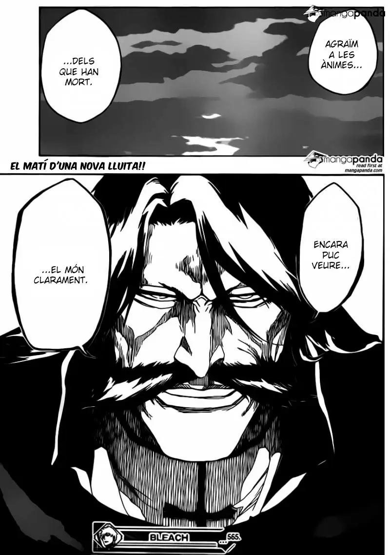 Bleach (Català) (2001) - Capítulo 565 - Página 30 - LectorTMOo