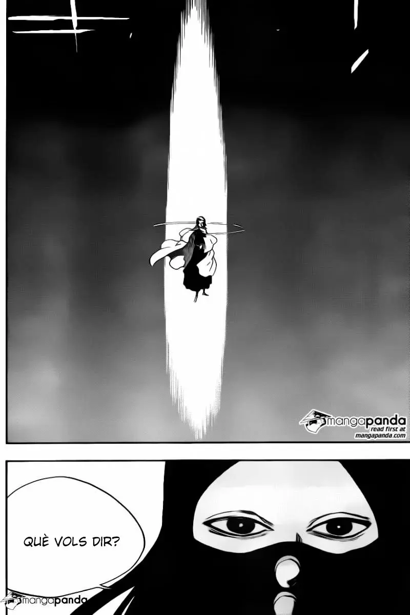 Bleach (Català) (2001) - Capítulo 567 - Página 16 - LectorTMOo