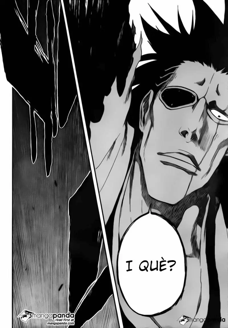 Bleach (Català) (2001) - Capítulo 573 - Página 14 - LectorTMOo