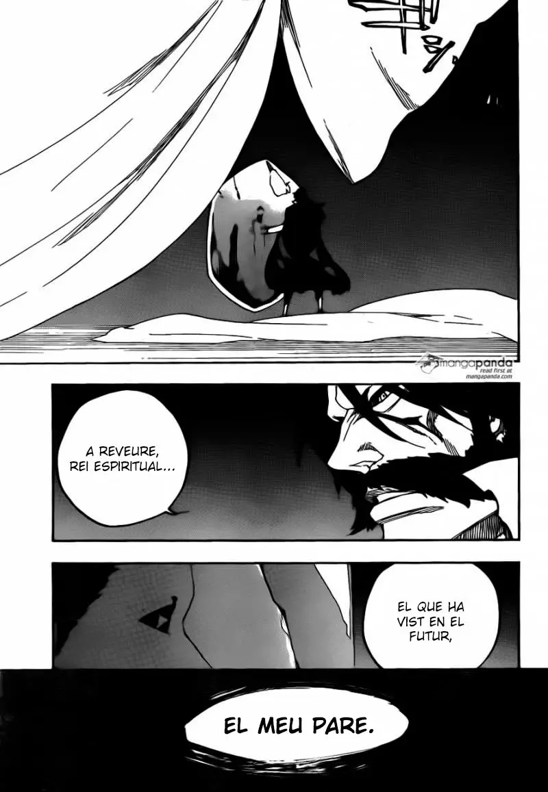 Bleach (Català) (2001) - Capítulo 611 - Página 17 - LectorTMOo