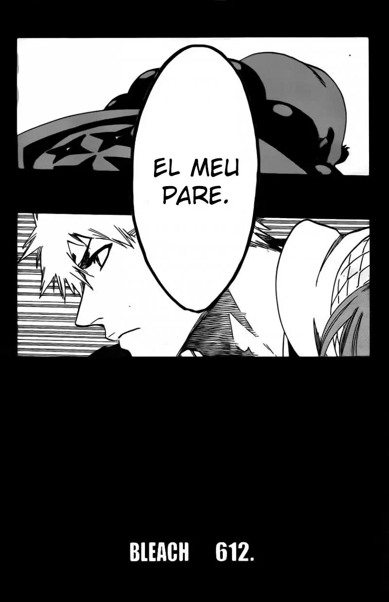 Bleach (Català) (2001) - Capítulo 612 - Página 5 - LectorTMOo