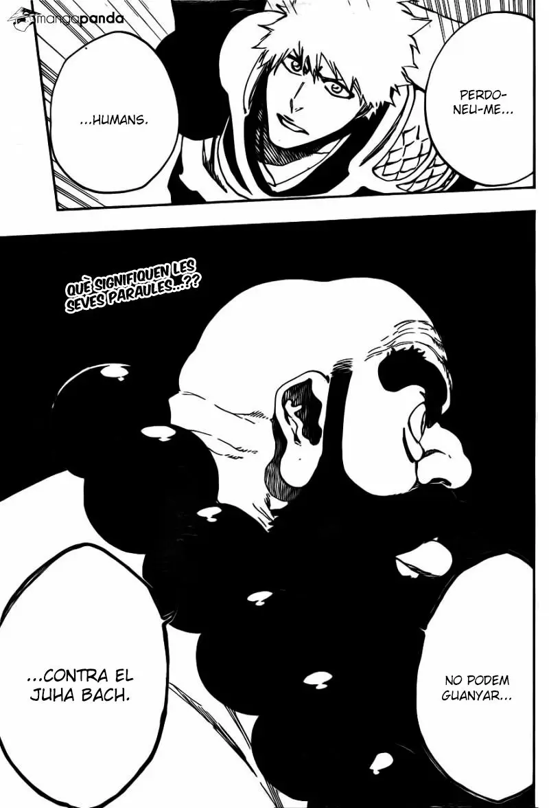 Bleach (Català) (2001) - Capítulo 612 - Página 17 - LectorTMOo