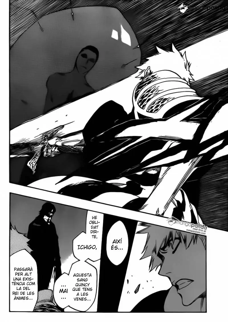 Bleach (Català) (2001) - Capítulo 614 - Página 17 - LectorTMOo