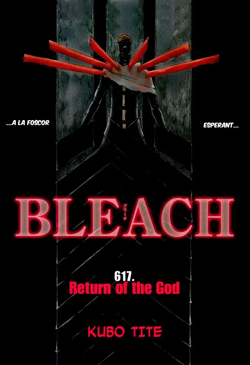 Bleach (Català) (2001) - Capítulo 617 - Página 2 - LectorTMOo