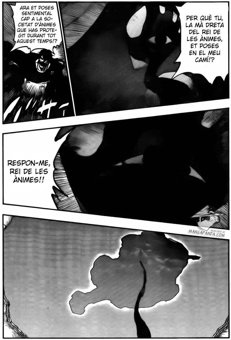 Bleach (Català) (2001) - Capítulo 617 - Página 17 - LectorTMOo