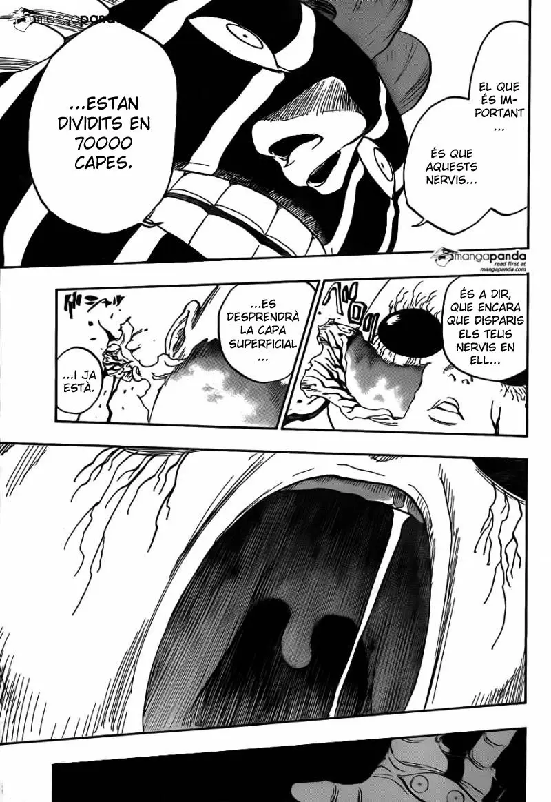 Bleach (Català) (2001) - Capítulo 639 - Página 15 - LectorTMOo
