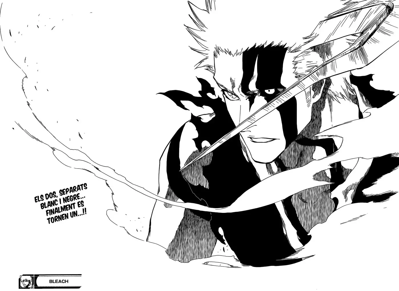 Bleach (Català) (2001) - Capítulo 675 - Página 17 - LectorTMOo