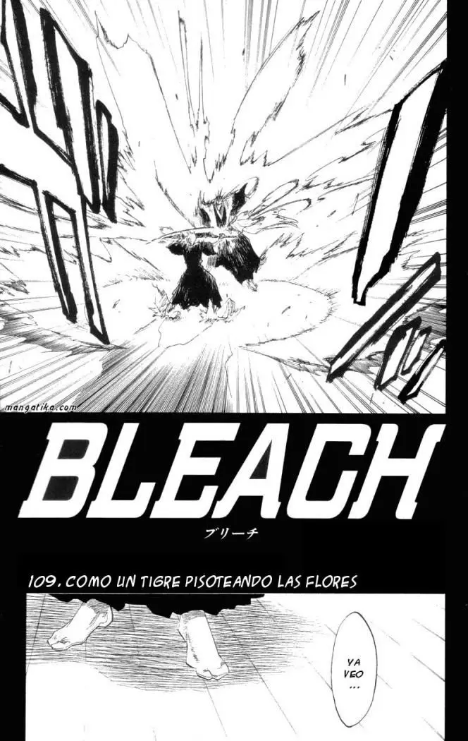 Bleach (2001) - Capítulo 109 - Página 5 - LectorTMOo