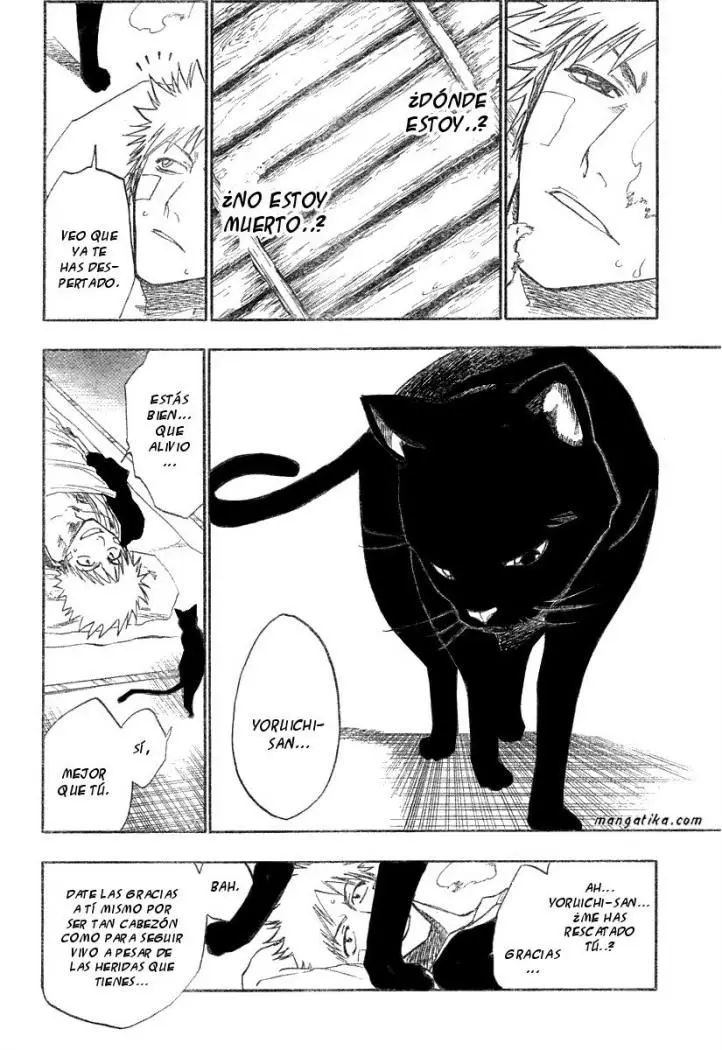 Bleach (2001) - Capítulo 116 - Página 15 - LectorTMOo