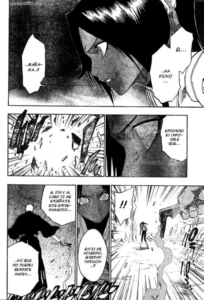 Bleach (2001) - Capítulo 133 - Página 15 - LectorTMOo
