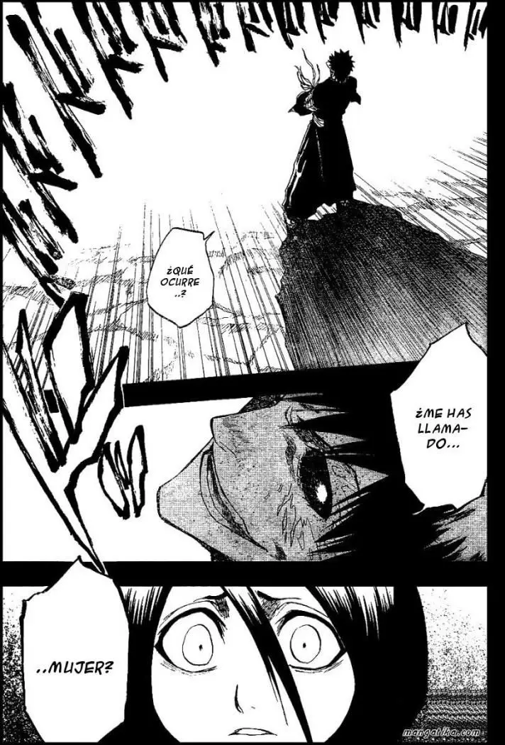 Bleach (2001) - Capítulo 135 - Página 19 - LectorTMOo