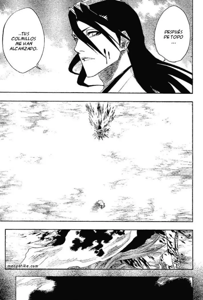 Bleach (2001) - Capítulo 144 - Página 13 - LectorTMOo