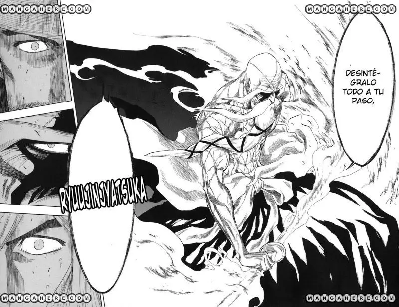 Bleach (2001) - Capítulo 155 - Página 25 - LectorTMOo