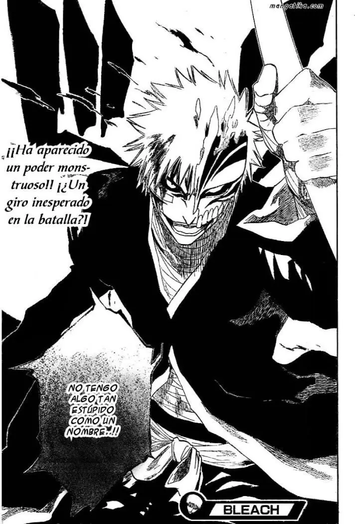 Bleach (2001) - Capítulo 165 - Página 17 - LectorTMOo