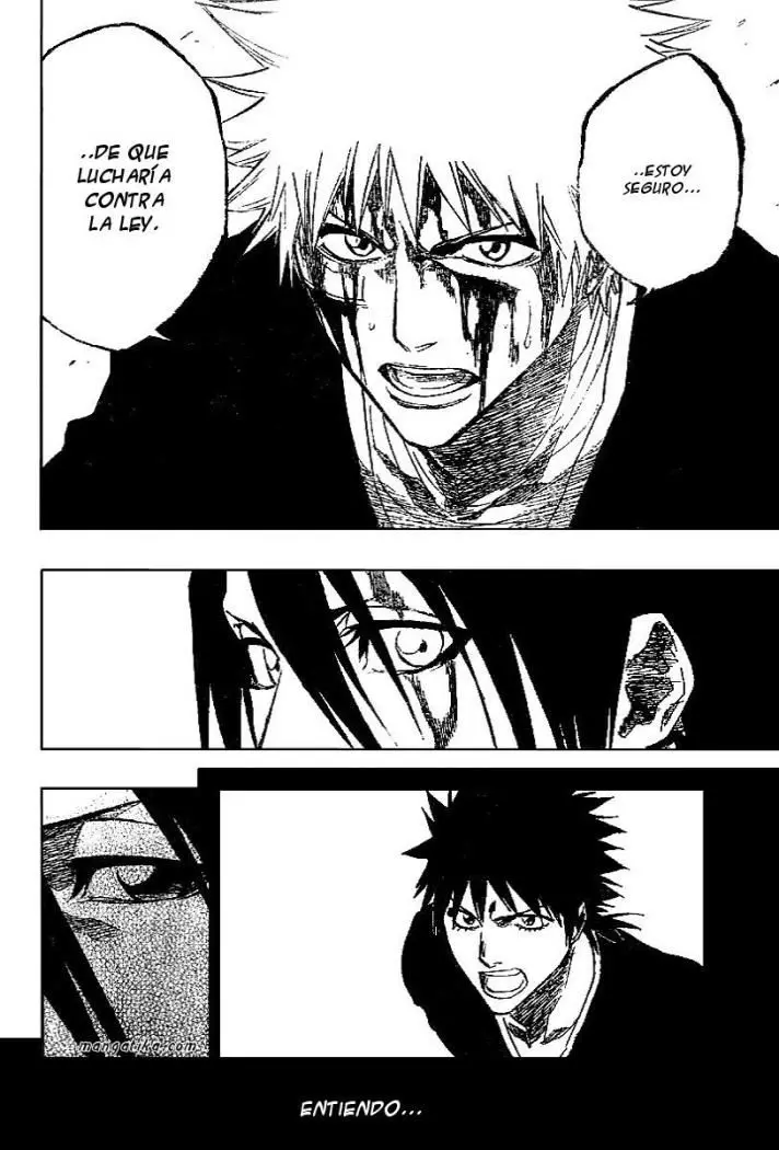 Bleach (2001) - Capítulo 167 - Página 10 - LectorTMOo