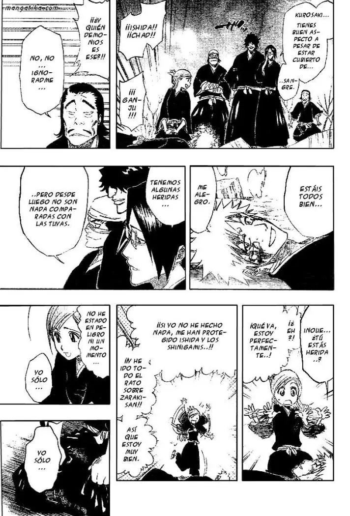 Bleach (2001) - Capítulo 167 - Página 15 - LectorTMOo
