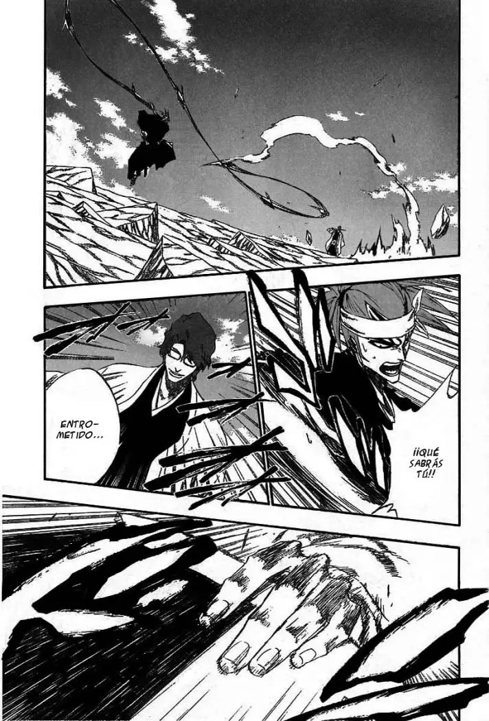 Bleach (2001) - Capítulo 173 - Página 11 - LectorTMOo