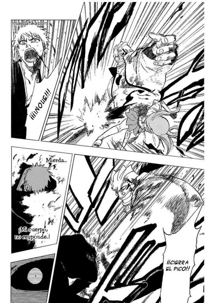 Bleach (2001) - Capítulo 193 - Página 17 - LectorTMOo