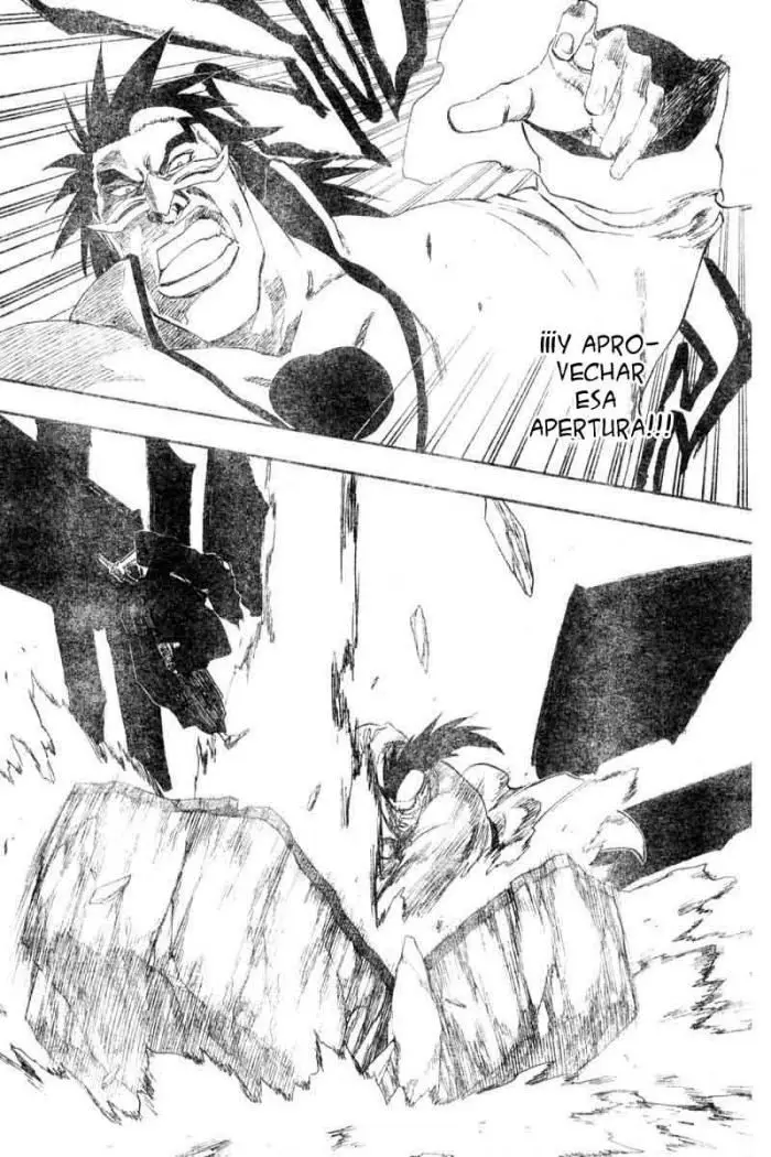Bleach (2001) - Capítulo 203 - Página 10 - LectorTMOo