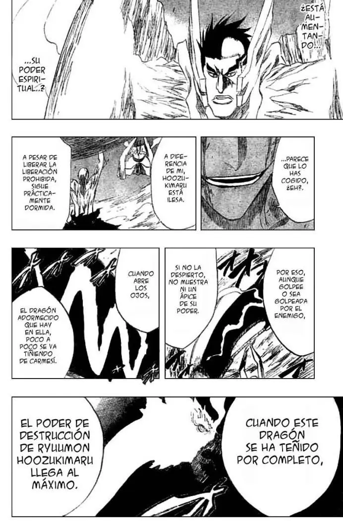 Bleach (2001) - Capítulo 205 - Página 17 - LectorTMOo
