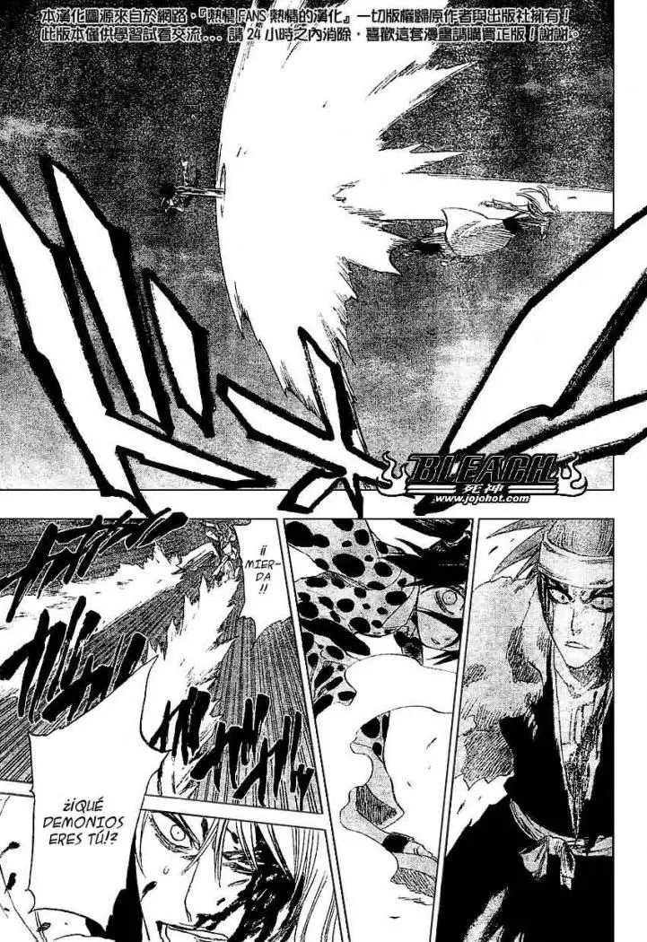 Bleach (2001) - Capítulo 207 - Página 13 - LectorTMOo
