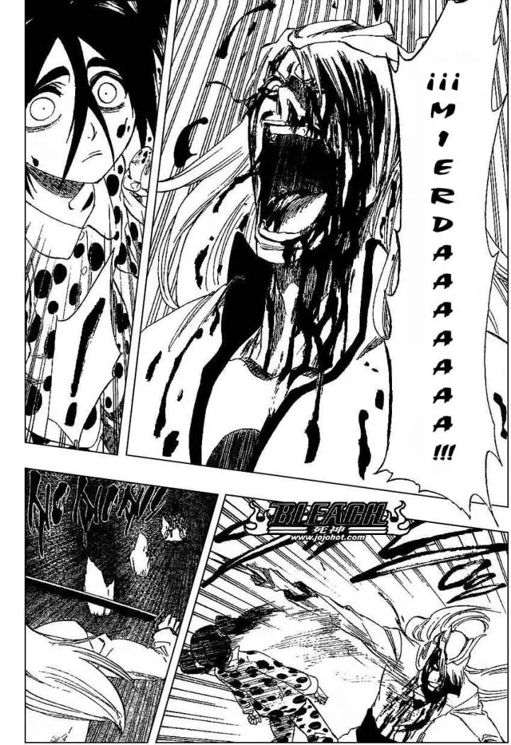 Bleach (2001) - Capítulo 207 - Página 16 - LectorTMOo