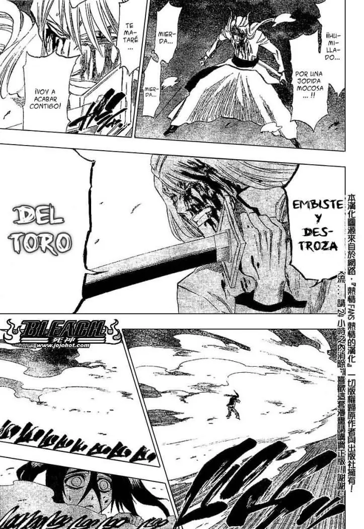 Bleach (2001) - Capítulo 207 - Página 17 - LectorTMOo