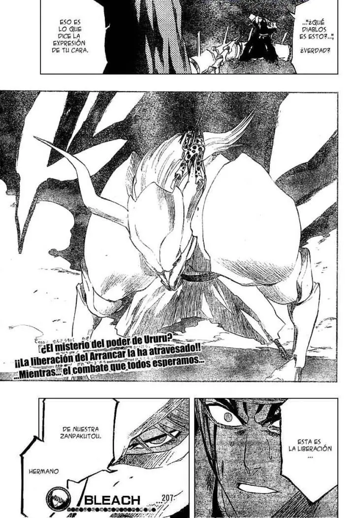 Bleach (2001) - Capítulo 207 - Página 19 - LectorTMOo