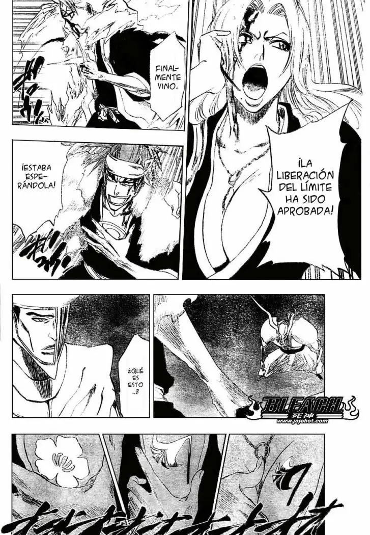Bleach (2001) - Capítulo 209 - Página 17 - LectorTMOo