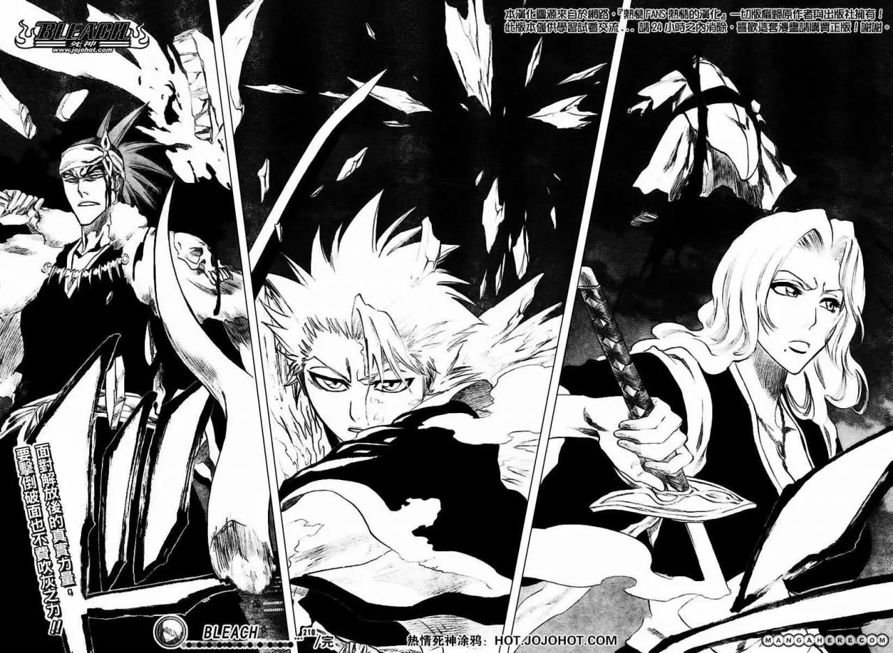 Bleach (2001) - Capítulo 210 - Página 17 - LectorTMOo