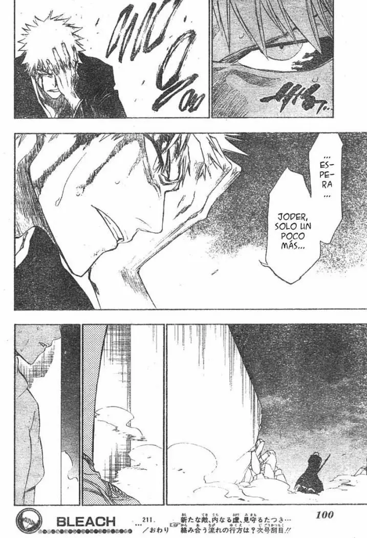 Bleach (2001) - Capítulo 211 - Página 17 - LectorTMOo