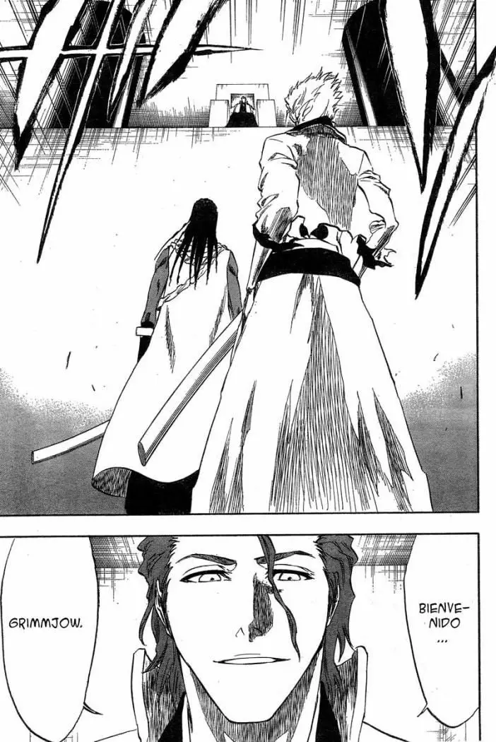 Bleach (2001) - Capítulo 213 - Página 9 - LectorTMOo