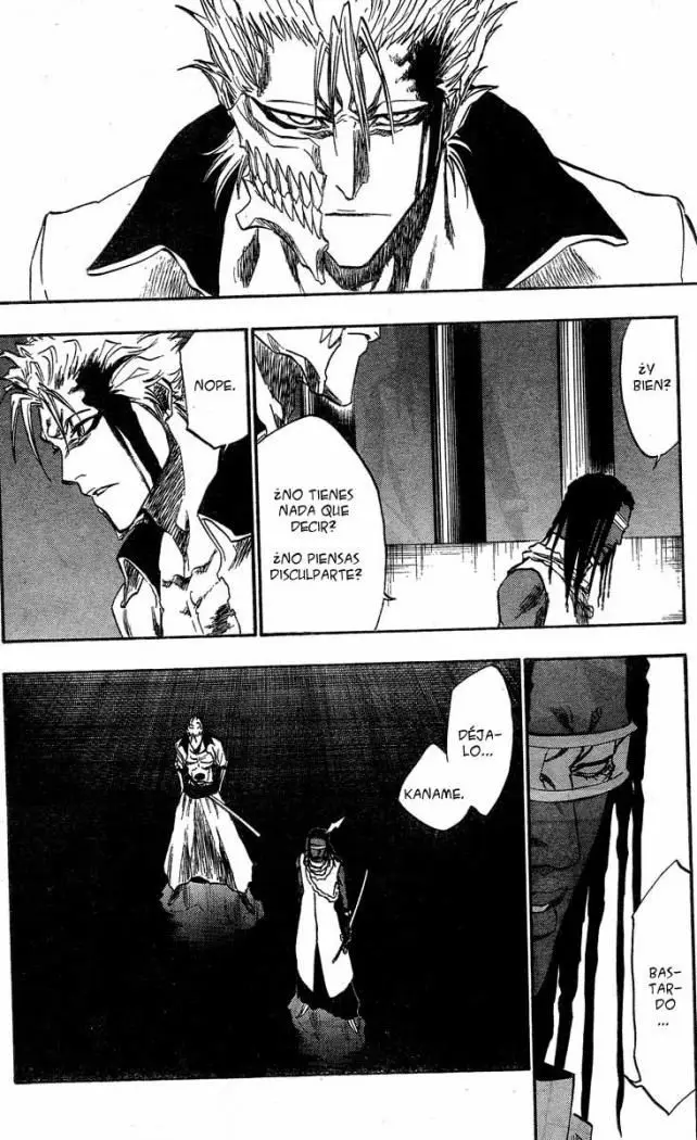 Bleach (2001) - Capítulo 213 - Página 10 - LectorTMOo