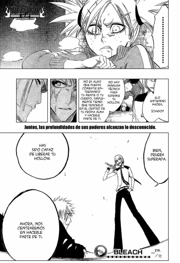 Bleach (2001) - Capítulo 216 - Página 17 - LectorTMOo